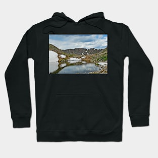 Summit Lake in Summer Hoodie